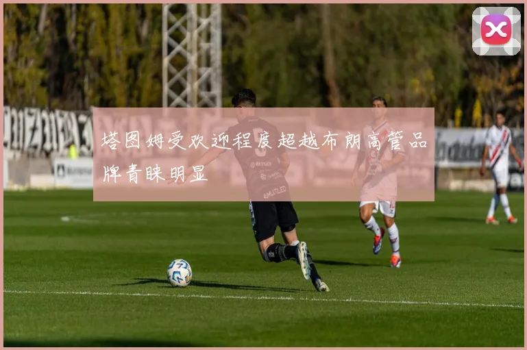 塔图姆受欢迎程度超越布朗高管品牌青睐明显