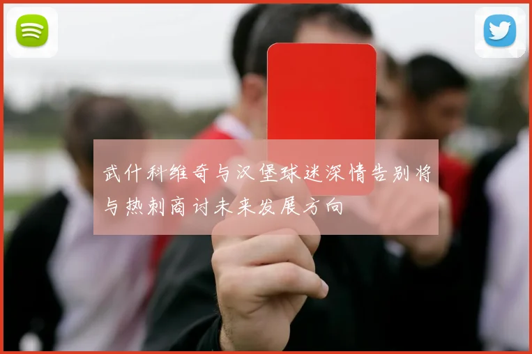 武什科维奇与汉堡球迷深情告别将与热刺商讨未来发展方向