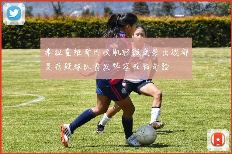 弗拉霍维奇内收肌轻微疲劳出战都灵存疑球队首发阵容面临考验